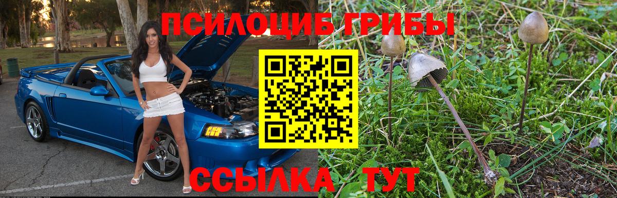 Хасавюрт  Галлюциногенные грибы ЛСД  Вход с VPN 