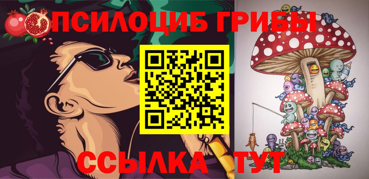 Псилоцибиновые грибы Cubensis Хасавюрт